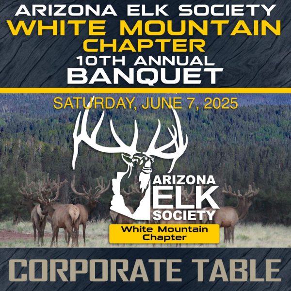 2025 AES WMC Banquet Corporate Table