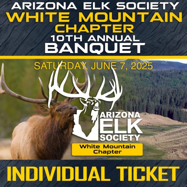 2025 AES WMC Banquet Individual Ticket