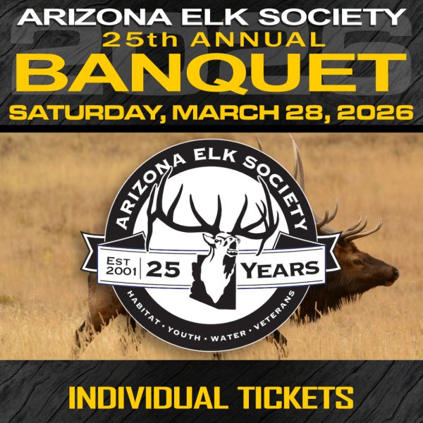 2026 AES Individual Banquet Ticket