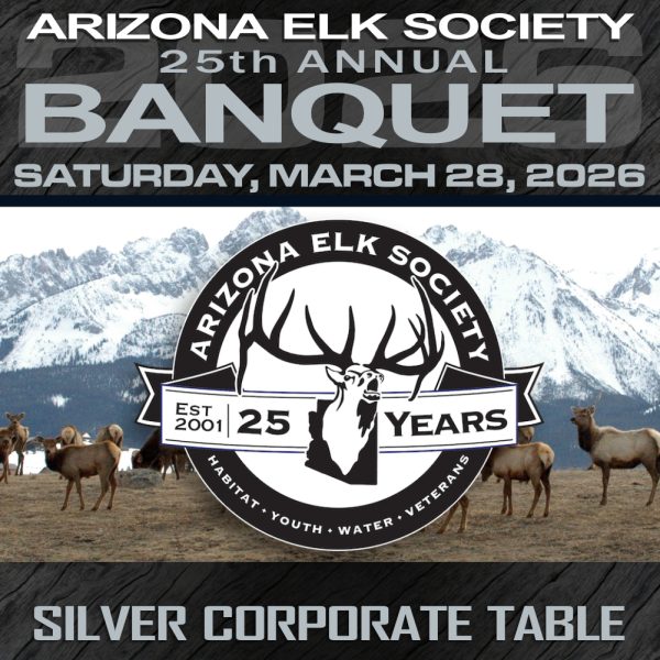 2026 AES Banquet Corporate Silver Table