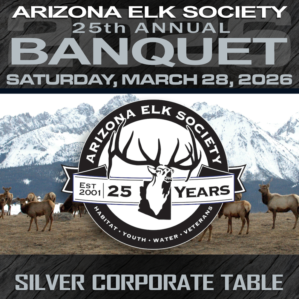 2026 AES Banquet Corporate Silver Table