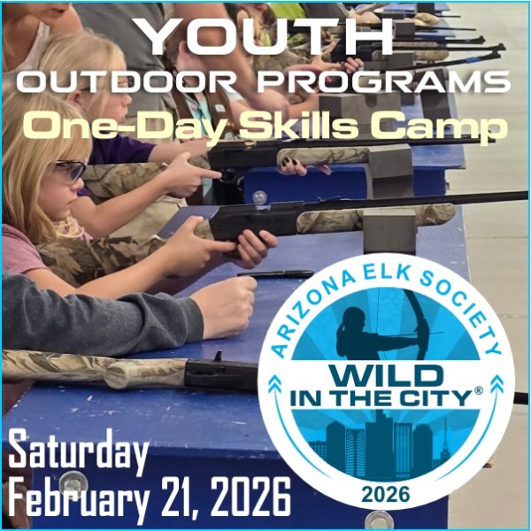 AES Wild In The City February 21, 2026