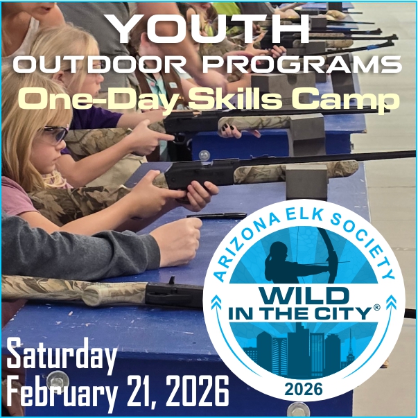 AES Wild In The City February 21, 2026