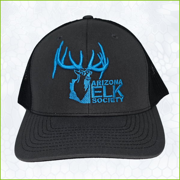 AES Charcoal Black Hat Blue Stitched