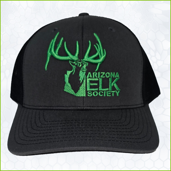 AES Charcoal Black Hat Green Stitched
