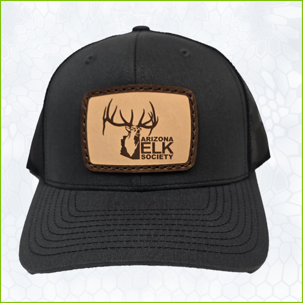 AES Charcoal Black Leather Patch Thick Border Hat