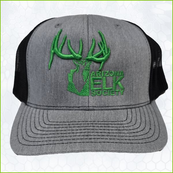 AES Heather Grey Black Hat Green Stitched