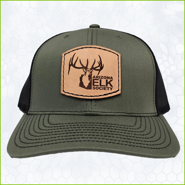 AES Loden Green Black Leather Patch No Border Hat