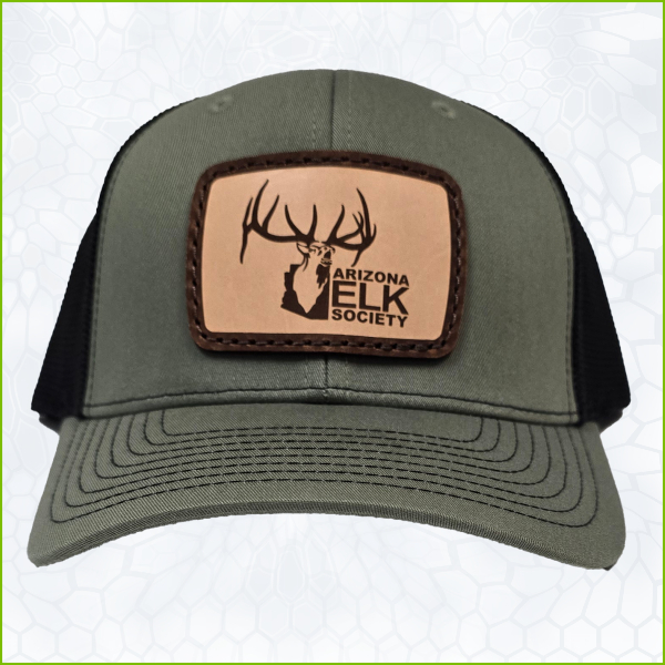 AES Bordered Leather Patch Logo Richardson Loden Green Hat