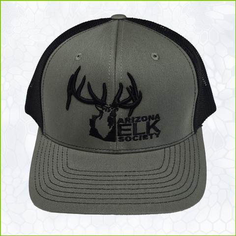 AES Logo Richardson Loden Green Black Hat