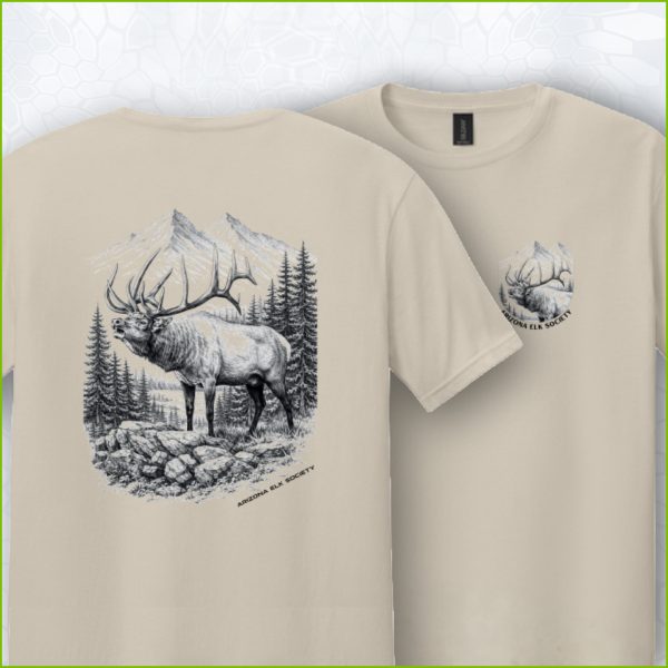 AES Sketched Elk Sand